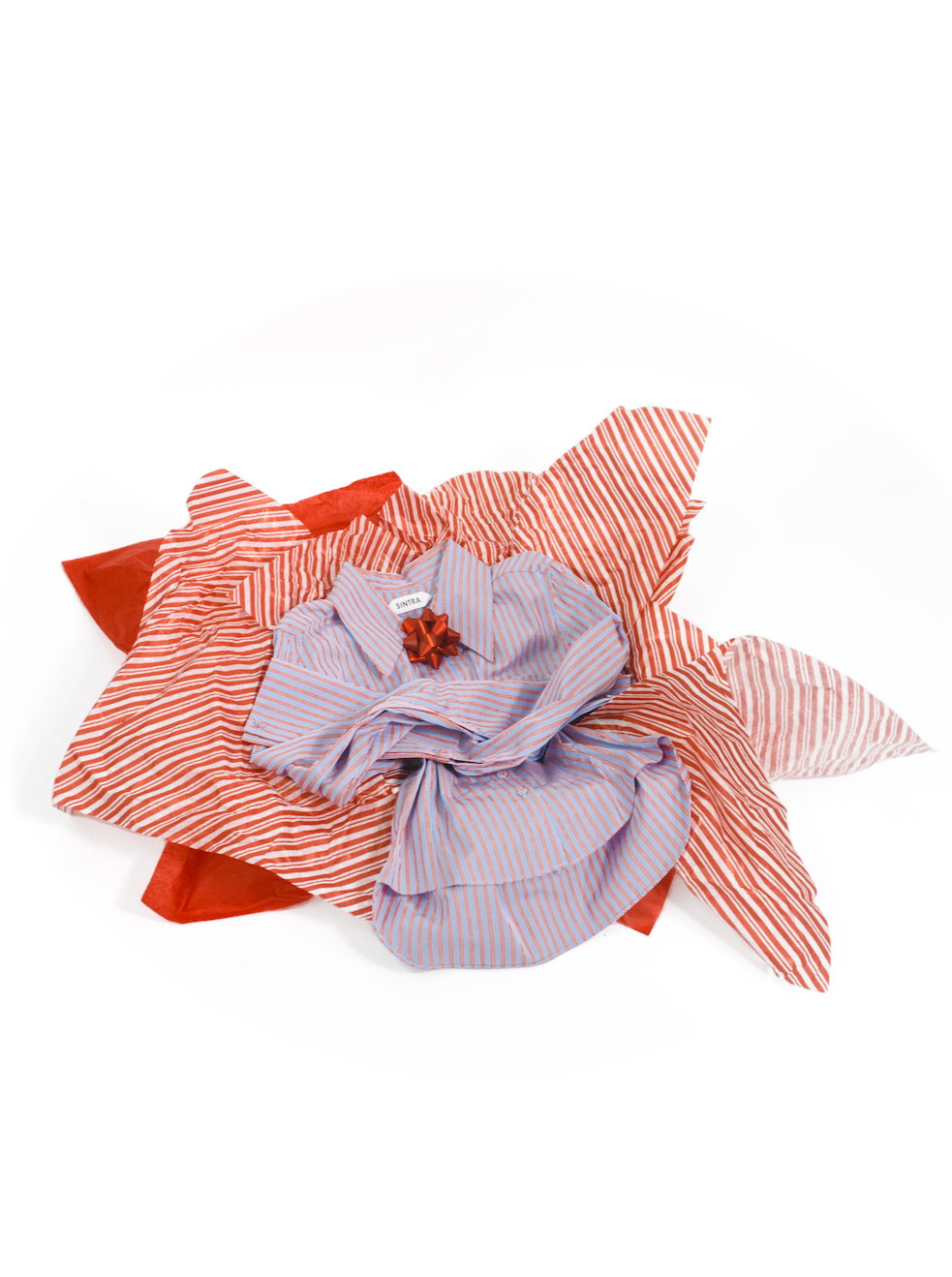 Classic Women's Button Down Rental